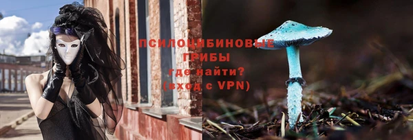 трава Арсеньев