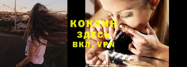 мяу мяу мука Алексеевка