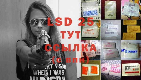 PSILOCYBIN Киренск